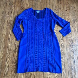 Blue Calvin Klein knit dress